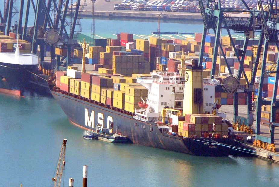 Msc Angela